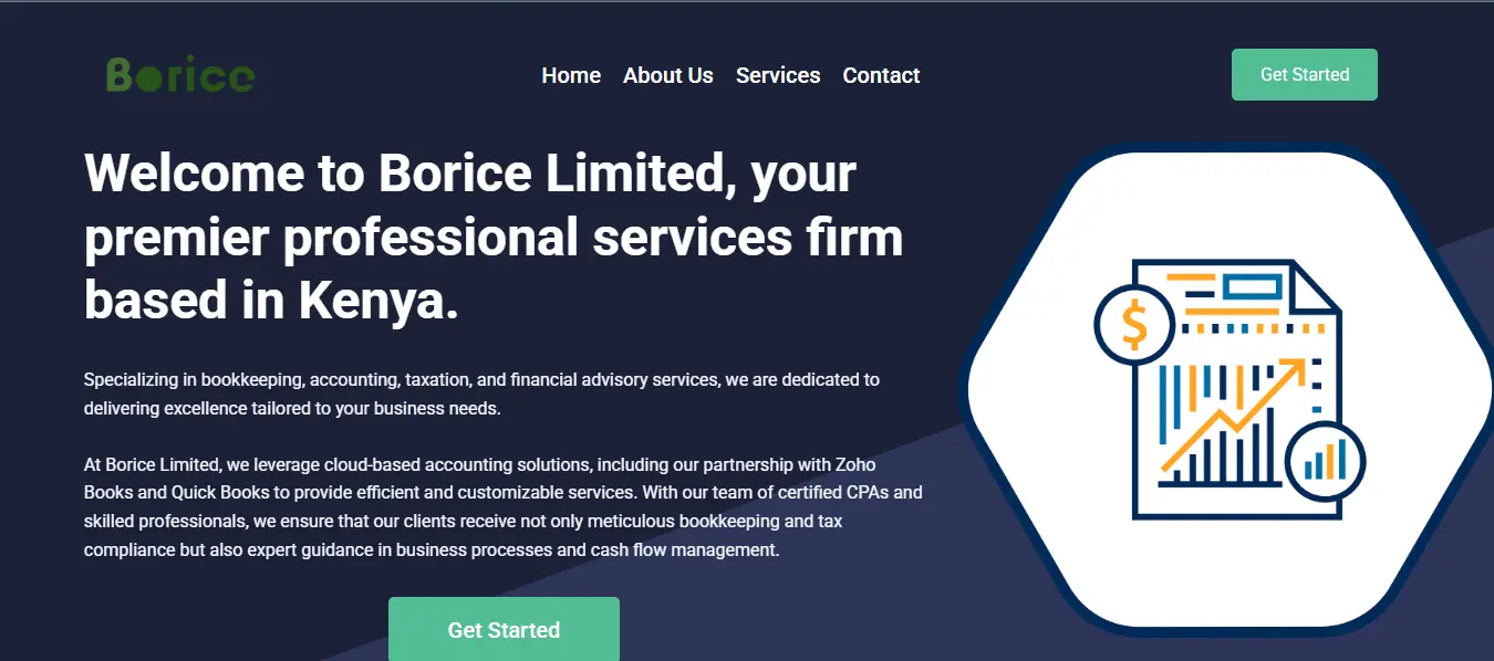Borice Website